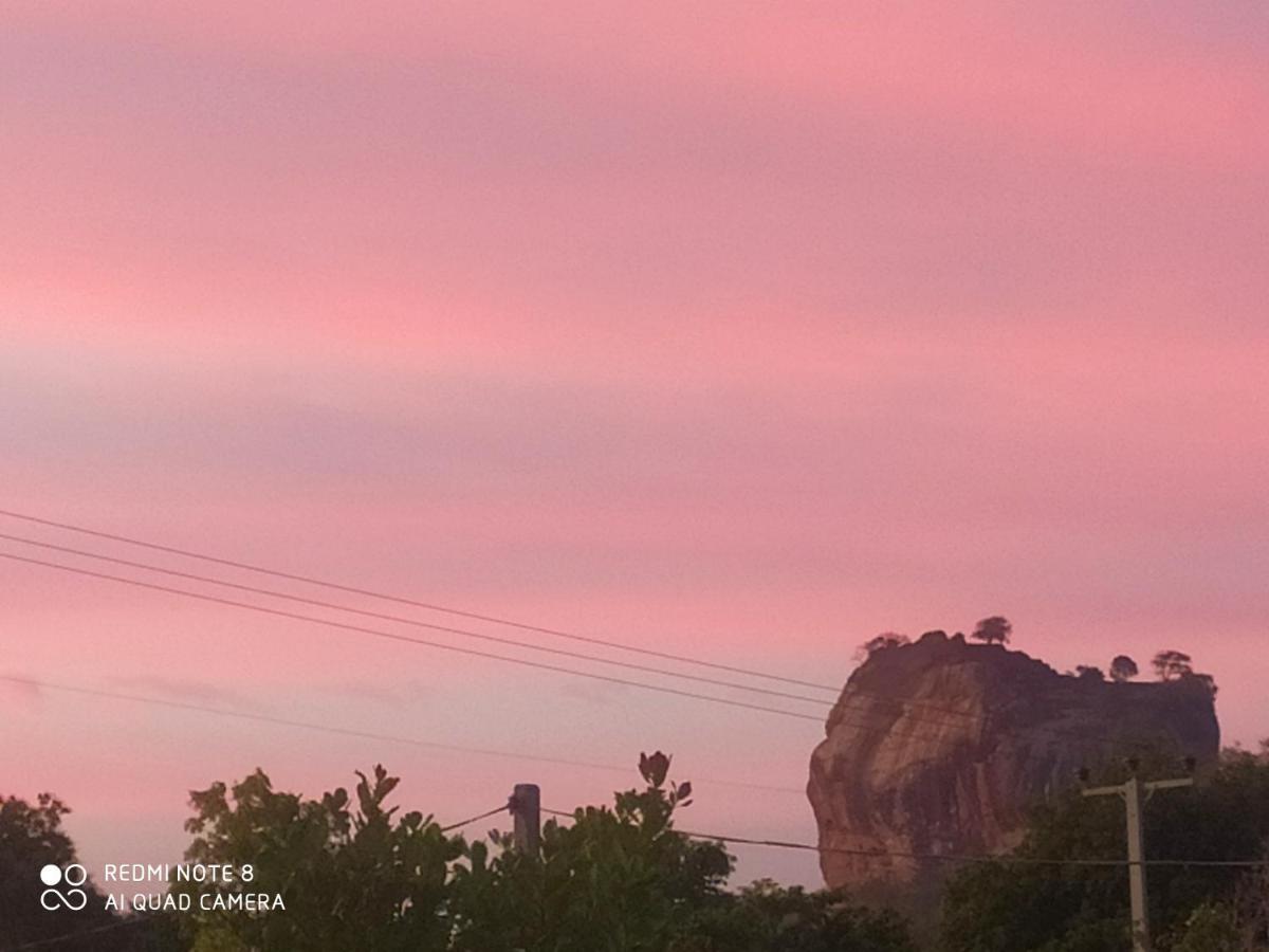 Sigiri Gayani Home Stay Sigiriya Eksteriør billede