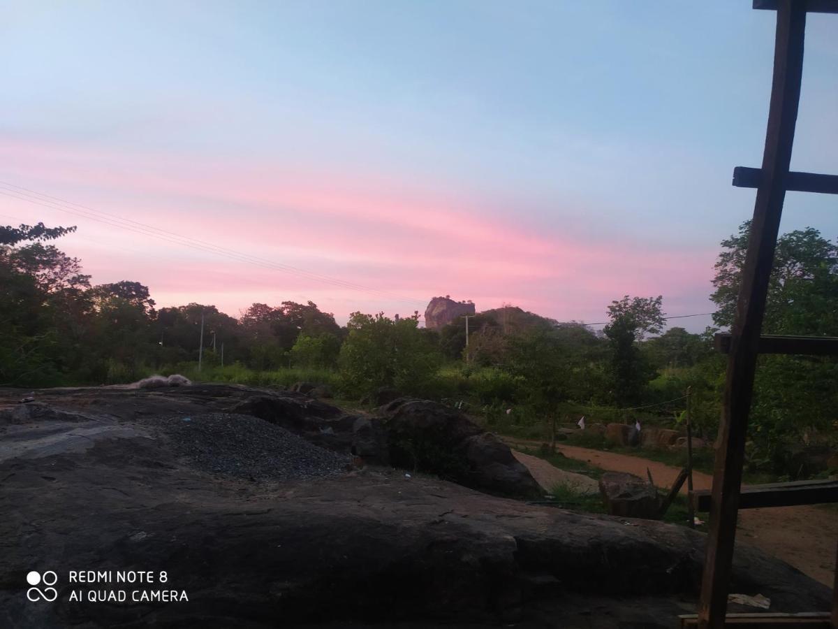 Sigiri Gayani Home Stay Sigiriya Eksteriør billede
