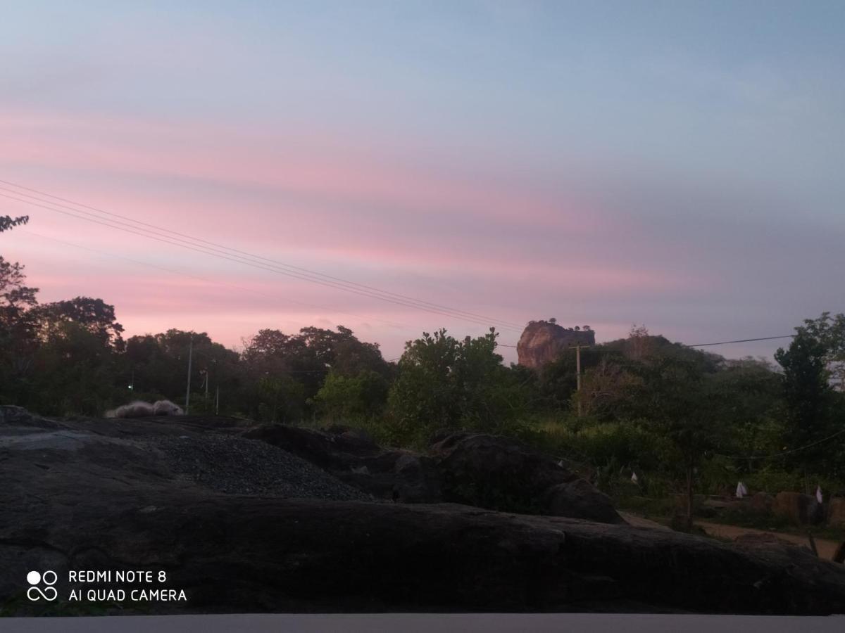Sigiri Gayani Home Stay Sigiriya Eksteriør billede
