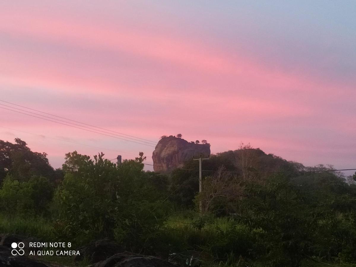 Sigiri Gayani Home Stay Sigiriya Eksteriør billede