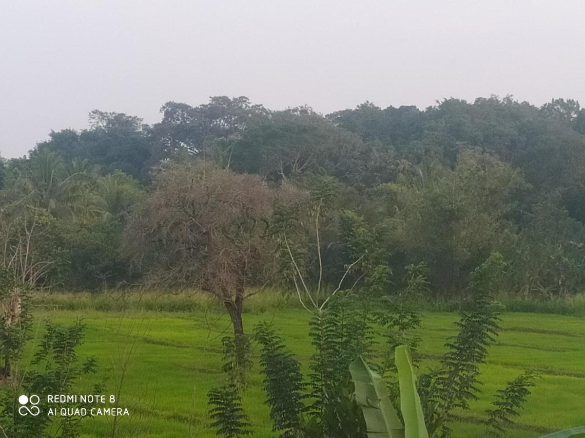 Sigiri Gayani Home Stay Sigiriya Eksteriør billede
