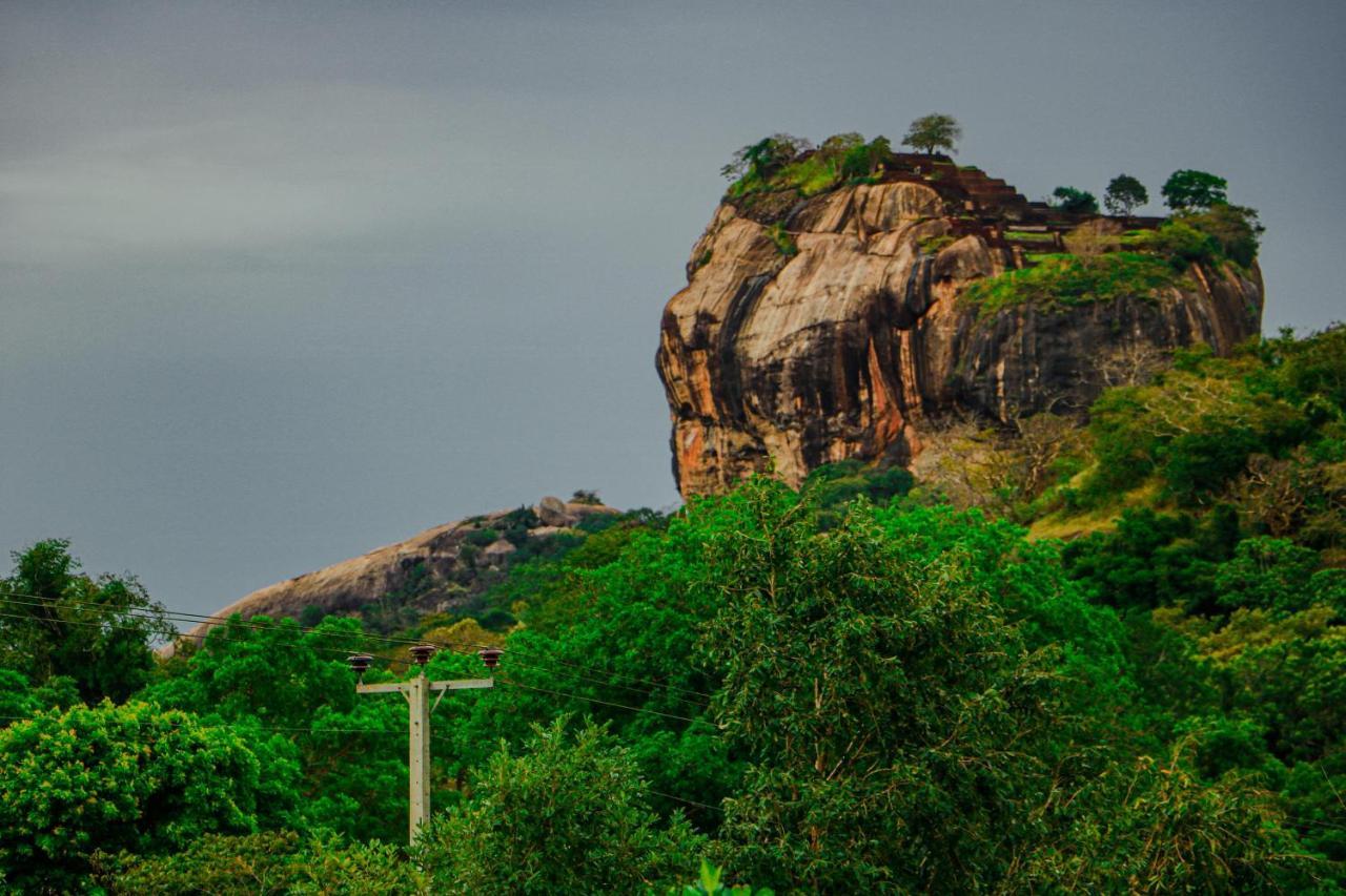 Sigiri Gayani Home Stay Sigiriya Eksteriør billede