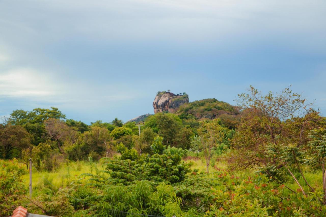 Sigiri Gayani Home Stay Sigiriya Eksteriør billede