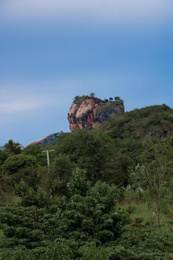 Sigiri Gayani Home Stay Sigiriya Eksteriør billede
