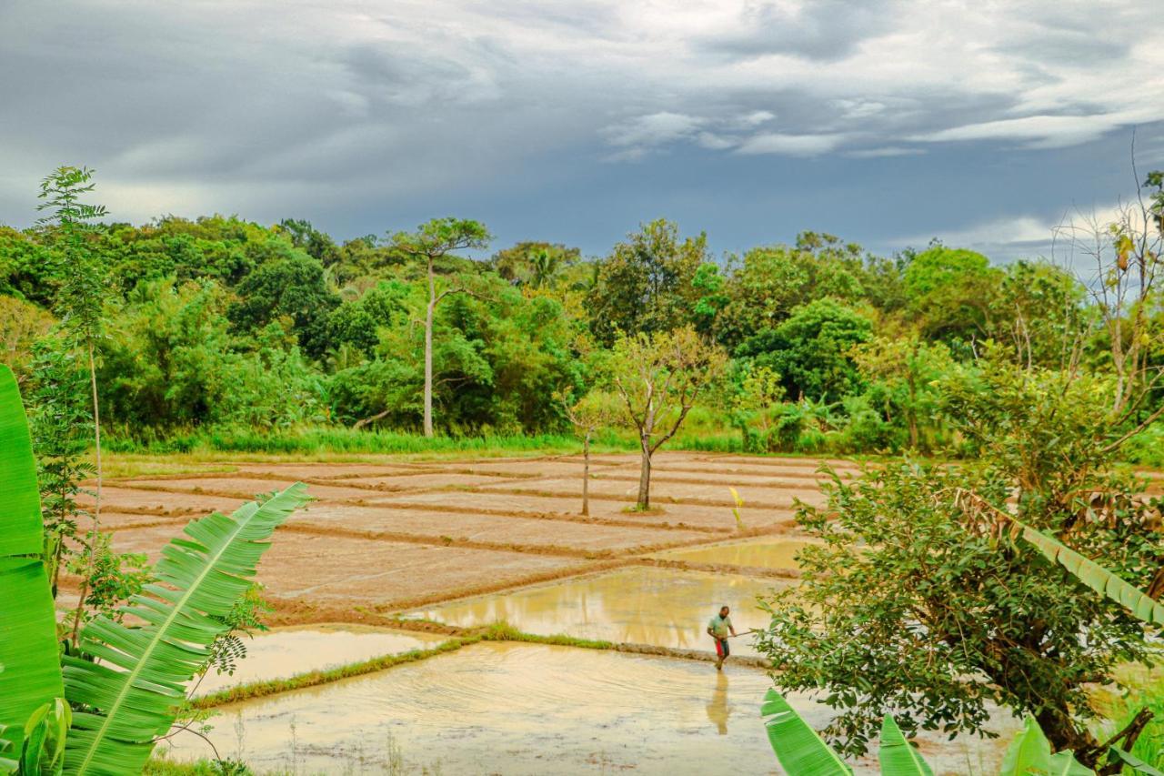 Sigiri Gayani Home Stay Sigiriya Eksteriør billede