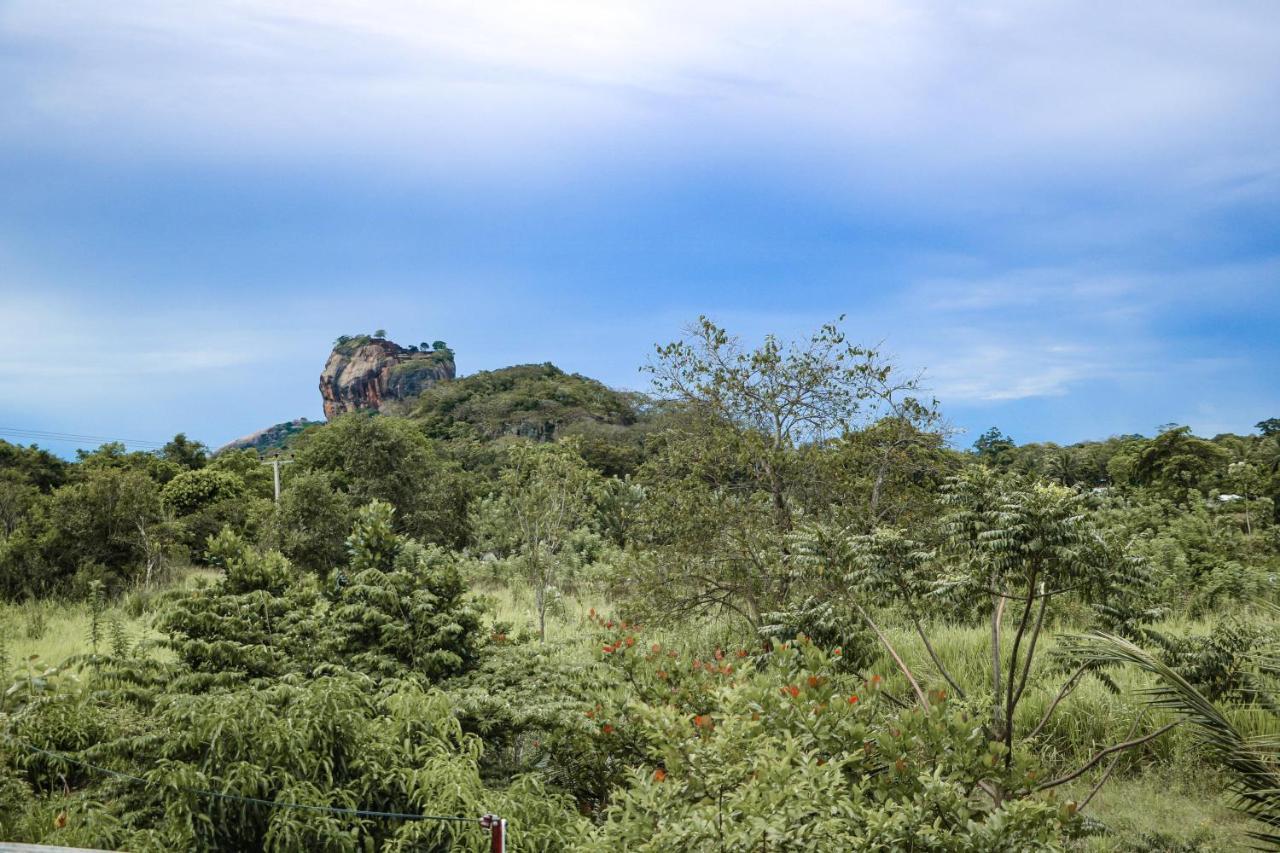 Sigiri Gayani Home Stay Sigiriya Eksteriør billede