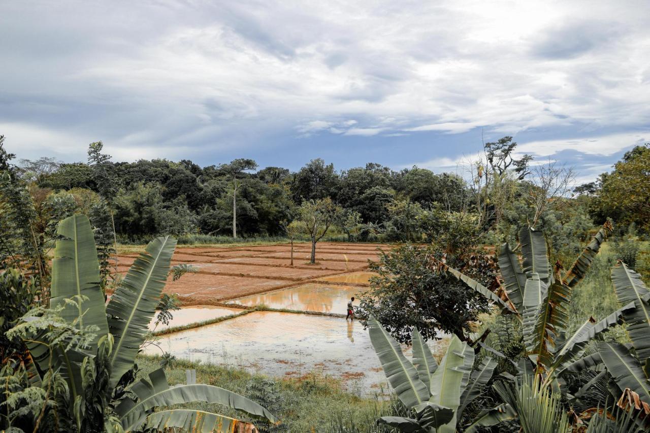 Sigiri Gayani Home Stay Sigiriya Eksteriør billede