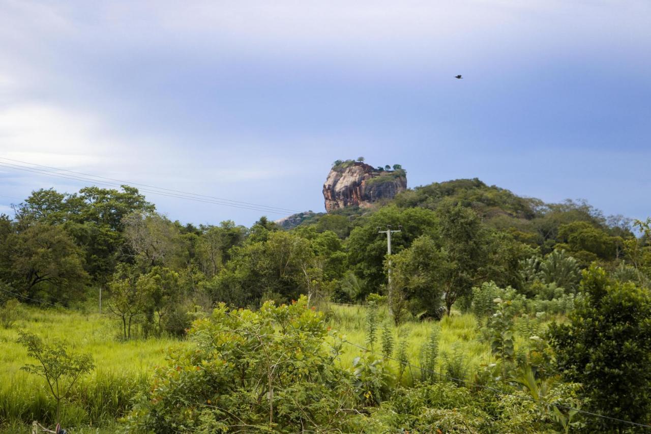 Sigiri Gayani Home Stay Sigiriya Eksteriør billede