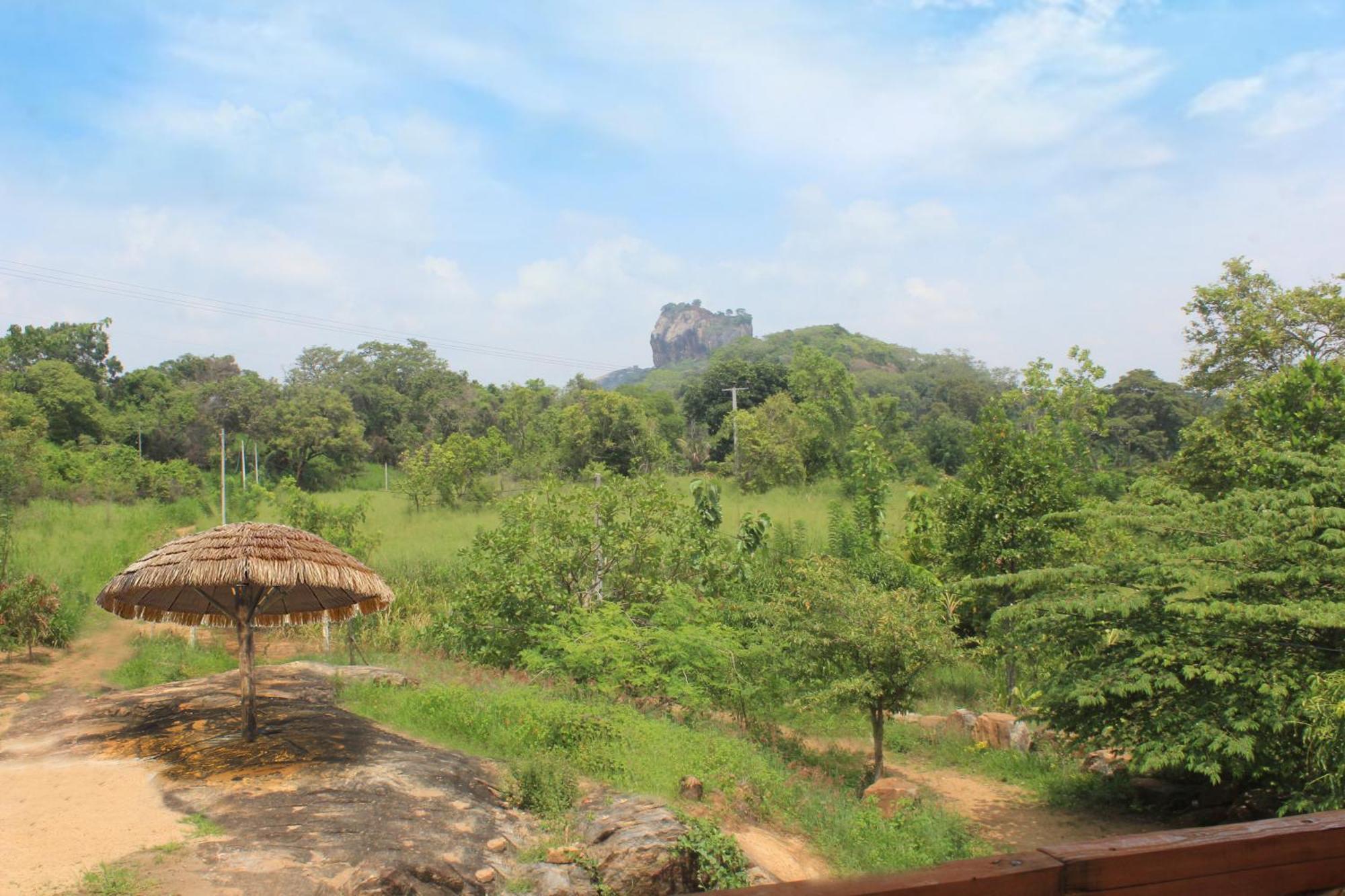 Sigiri Gayani Home Stay Sigiriya Eksteriør billede